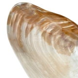 Dĩa ngọc trai trơn