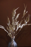 Bó hoa khô lá bạch đàn sấy khô 60cm 35gr