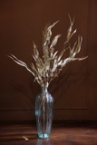 Bó hoa khô lá bạch đàn sấy khô 60cm 35gr