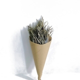Bó lá trúc bạc 40cm | Hoa khô