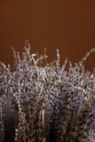 Bó hoa khô lavender oải hương 55cm 75gr