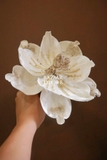 Cành hoa trạng nguyên mộc lan cánh tròn 24cm - Trắng