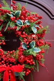 Vòng nguyệt quế 55cm Holly & Berries