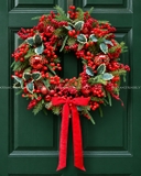 Vòng nguyệt quế 55cm Holly & Berries