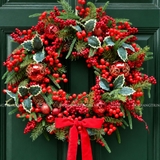 Vòng nguyệt quế 55cm Holly & Berries