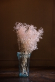 Bó hoa khô baby bloom 25gr - 45cm màu hồng