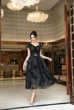 Đầm xòe xếp ly cổ V