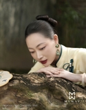 Áo dài Dao Nhã | BST Nguyệt An