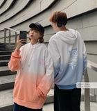 Áo lớp hoodie DPL-0191