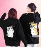 Áo lớp hoodie DPL-0192