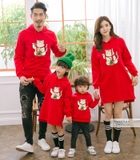 Áo hoodie gia đình DPGD-0702