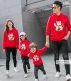 Áo hoodie gia đình DPGD-0702