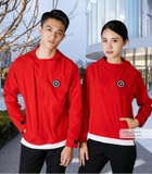 Áo lớp hoodie DPL-0157