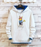 Áo lớp hoodie DPL-0160