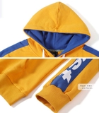 Áo lớp hoodie DPL-0182