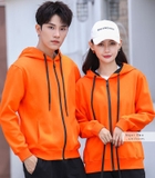 Áo lớp hoodie DPL-0183