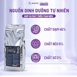 Cám Saki Hikari Deep Red siêu tăng màu cho cá chép, phi tần đỏ, cầu vồng, cá vàng cá thủy sinh