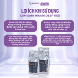 Cám Saki Hikari Deep Red siêu tăng màu cho cá chép, phi tần đỏ, cầu vồng, cá vàng cá thủy sinh