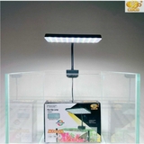 Đèn LED Coco Helios Flat Nano X1 - Nịnh màu cá, đỏ cá không đỏ nước, hỗ trợ cây thủy sinh bể nhỏ, hồ cá cảnh