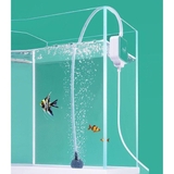 Sủi Oxy siêu êm Nepall - Không ồn, phù hợp để phòng ngủ, tặng kèm đầy đủ phụ kiện