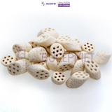 Hộp 5 lít sứ lọc Mountain Tree Nitro Ring II - Dạng củ sen cắt lát, tăng diện tích trú ngụ cho vi sinh, hỗ trợ lọc nước bể cá