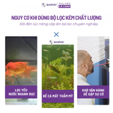 Lọc thùng Dophin CF-11008, CF-11308, CF-11508 thế hệ mới, Bảo hành 1 năm