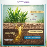 Cốt nền Tropica - Substrate (Bao 5 Lít, Bao 2,5 Lít) chính hãng