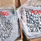 Thùng Nguyên 20LIT Matrix cho bể thủy sinh