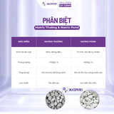 Thùng Nguyên 20LIT Matrix cho bể thủy sinh