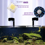 Đèn thủy sinh Ledesk, Dòng đèn hoàn hảo cho bể cá cảnh Biotope