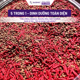 Cám cá cao cấp Hikari Mix 5in1 Super Red Thức ăn cá cảnh cám trùng huyết đỏ kích size, kích màu, hỗ trợ tiêu hóa cho cá