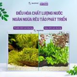 Vật liệu lọc Purigen YEE, làm trong nước và hấp thụ độc tố trong bể cá