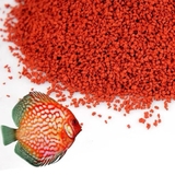 Thức ăn kícḣ màu cao cấp Dr+ Discus Bits Color (100g) - Hỗ trợ tăng màu cá cảnh, giàu đạm, omega 3, hỗ trợ tiêu hoá tốt