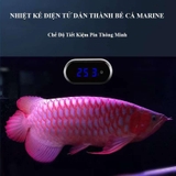 Nhiệt kế điện tử Marine dán thành bể cá - Màn hình LCD, đo nhiệt độ chính xác ±0.1°C, tiết kiệm pin cho hồ thủy sinh