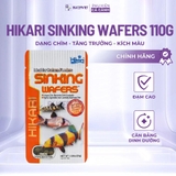 Thức ăn cá chuột Hikari Sinking Wafers 110g - Cám chìm cho cá Corydoras, cá tầng đáy, hỗ trợ tiêu hóa tốt, giàu dinh dưỡng