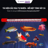 Đèn MAYIN Super Colour, Đèn Thủy Sinh Thế Hệ 3 Ánh Sáng Nổi Bật Cá Rồng, Cá Vàng, Cá Chép Đủ Kích Thước