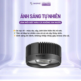 Đèn Bể Cá Tròn COCO FA Series (50-75-100w), Đèn thủy sinh mắt led COB màu tự nhiên, nịnh màu cá, tạo hiếu ứng sóng nước