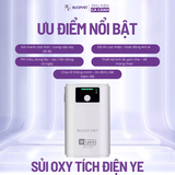 Máy sủi oxy tích điện siêu êm YEE dành cho bể cá