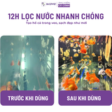(Mẫu mới 2025) Lọc thùng tách phân Sunsun YWY 800 - tích hợp tách phân, lọc phụ, xả đáy