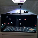 Đèn Rọi Bể Cá Zaqua A60 (60W, 80W) Model Đèn Thủy Sinh Thiết Kế Lon, Hiệu Ứng Màu Sắc Đẹp