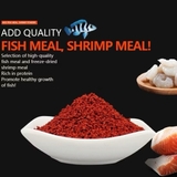 Thức ăn kícḣ màu cao cấp Dr+ Discus Bits Color (100g) - Hỗ trợ tăng màu cá cảnh, giàu đạm, omega 3, hỗ trợ tiêu hoá tốt