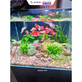 Đèn Bể Cá Tròn COCO FA Series (50-75-100w), Đèn thủy sinh mắt led COB màu tự nhiên, nịnh màu cá, tạo hiếu ứng sóng nước