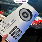 Đèn Rọi Bể Cá Zaqua A60 (60W, 80W) Model Đèn Thủy Sinh Thiết Kế Lon, Hiệu Ứng Màu Sắc Đẹp