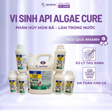 Vi sinh API ALGAE CURE POND