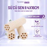 Sứ lọc củ sen Mountain Tree Lotus II 16x4cm - Vật liệu lọc cao cấp giúp bổ sung khoáng chất