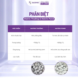 Vật liệu lọc cao cấp Seachem Matrix – Xử lý độc tố, làm nước trong cho hồ cá, thủy sinh