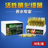 Vi sinh tươi cao cấp Prodibio BioDigest (1 hộp 30 ống) - Khởi tạo hệ vi sinh mạnh mẽ, hoàn hảo cho mọi bể cá