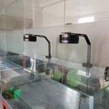 Đèn Rọi Bể Cá Zaqua - A60 | Thiết Kế Lon, Hiệu Ứng Màu Sắc Đẹp