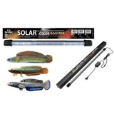 Đèn bể cá Neo Helios Solar Color Booster 26–172cm – Tăng màu cá tự nhiên, đỏ cá không đỏ nước, ánh sáng trong cho cá cảnh