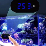 Nhiệt kế điện tử Marine dán thành bể cá - Màn hình LCD, đo nhiệt độ chính xác ±0.1°C, tiết kiệm pin cho hồ thủy sinh